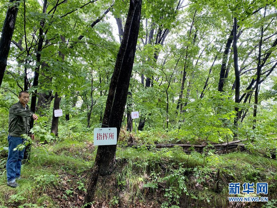 探訪“深山密林”中的雞冠山東北抗聯(lián)密營群